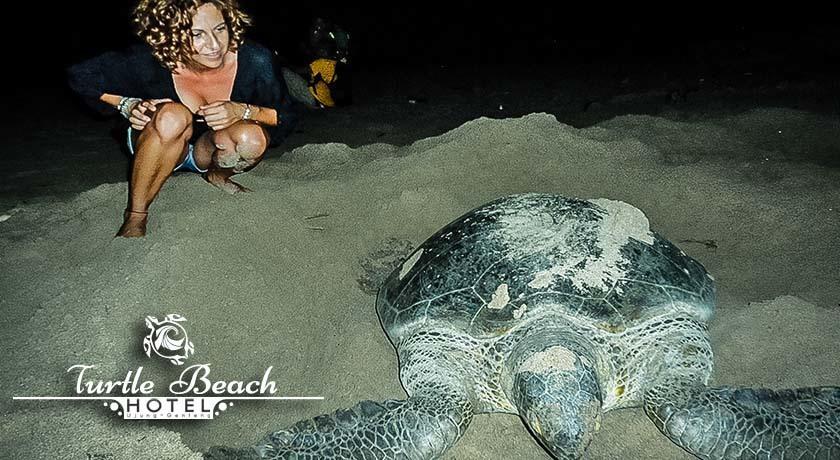 Turtle Beach Hotel Ujunggenteng Cameră foto