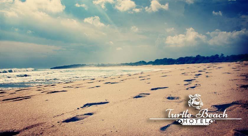 Turtle Beach Hotel Ujunggenteng Cameră foto